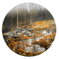 lustre3d
